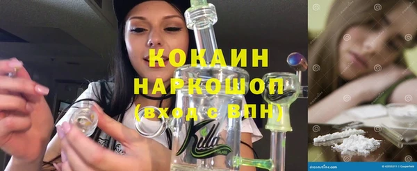 ешки Инта