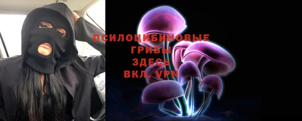 ешки Инта