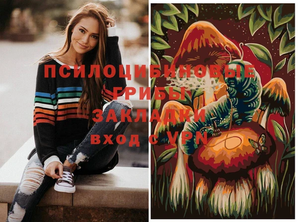 меф Инсар