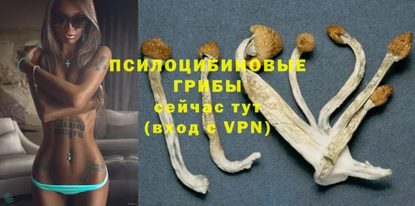 ешки Инта
