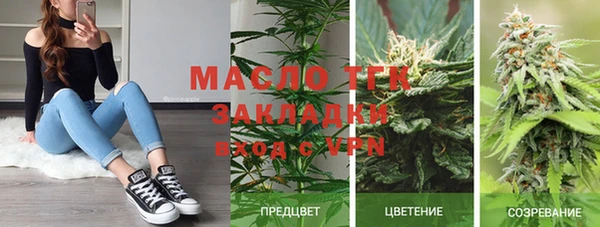 ешки Инта