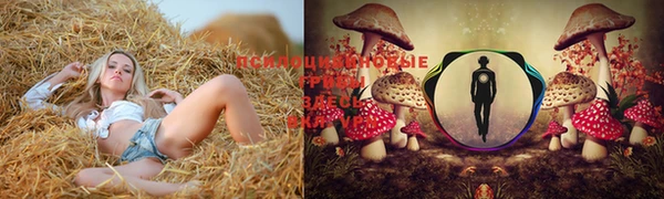 кокаин перу Иннополис