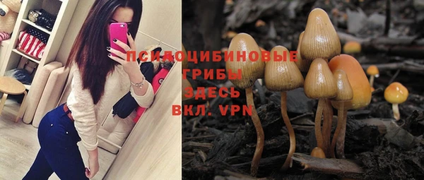 меф Инсар