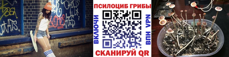 Галлюциногенные грибы Magic Shrooms  маркетплейс какой сайт  Домодедово 